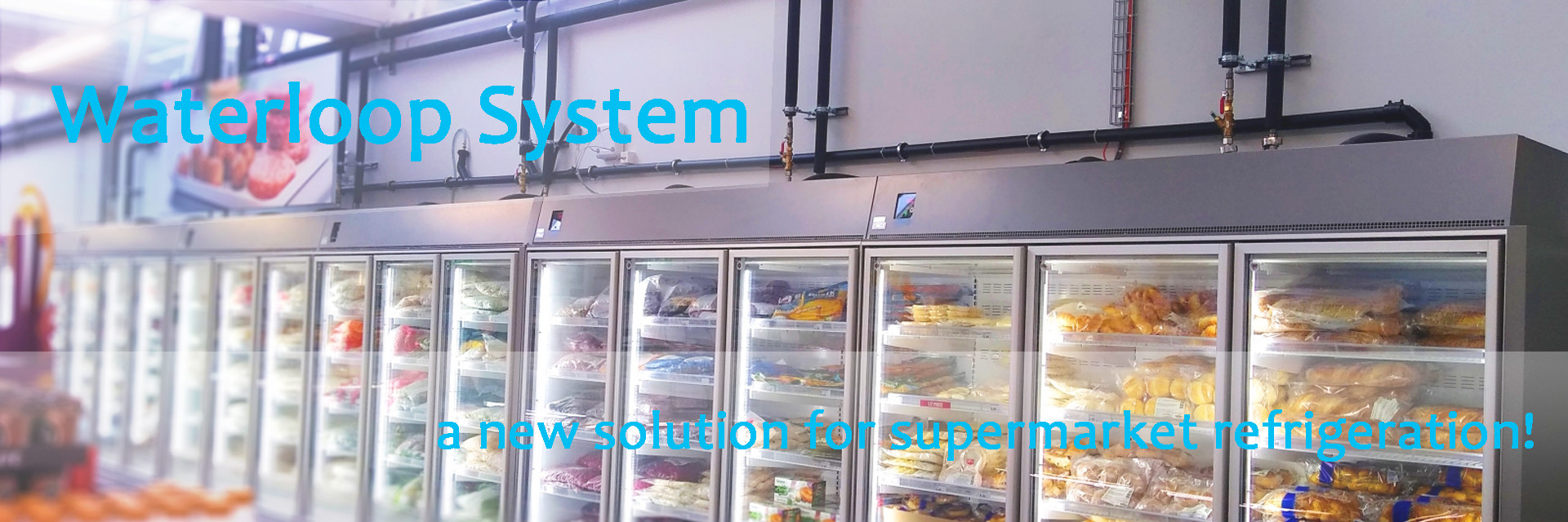 품질 전시 냉장고를 여십시오 공장